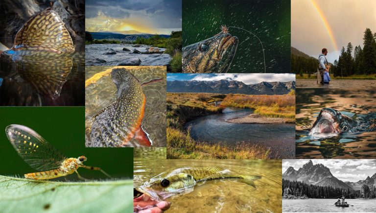 Meet the Winners of Our 2023 “20 Days in September” Contest - Orvis News