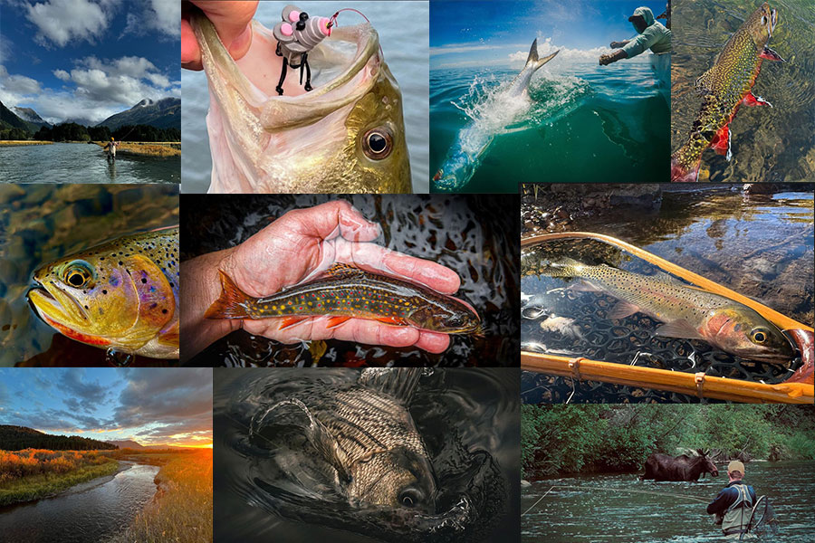 Vote for the Winners in Our 2024 “20 Days in September” Contest—and Maybe Win Something for Yourself!